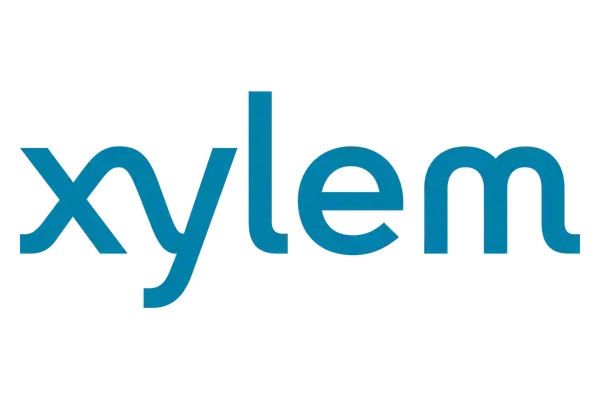 xylem
